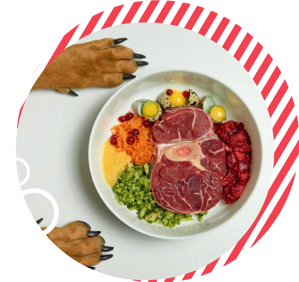 ¿Qué es una dieta cruda biológicamente apropiada?