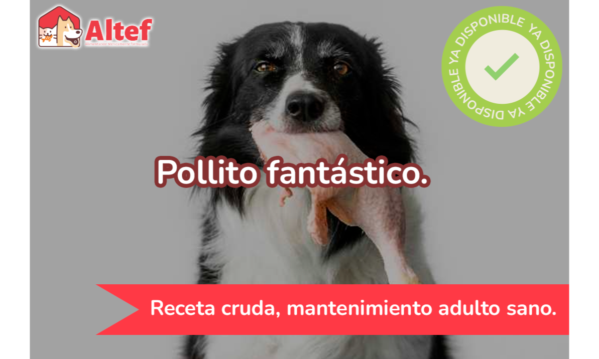 Pollo en receta para perros