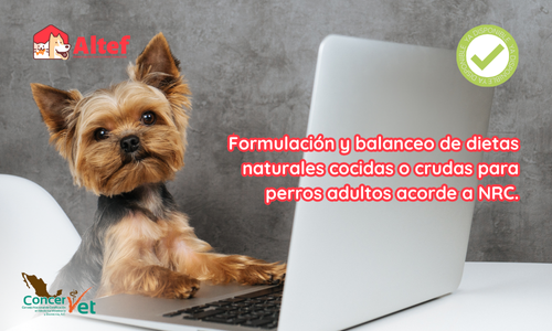 Formulación de dietas naturales cocidas o crudas para perros sanos en mantenimiento, acorde a NRC 2024