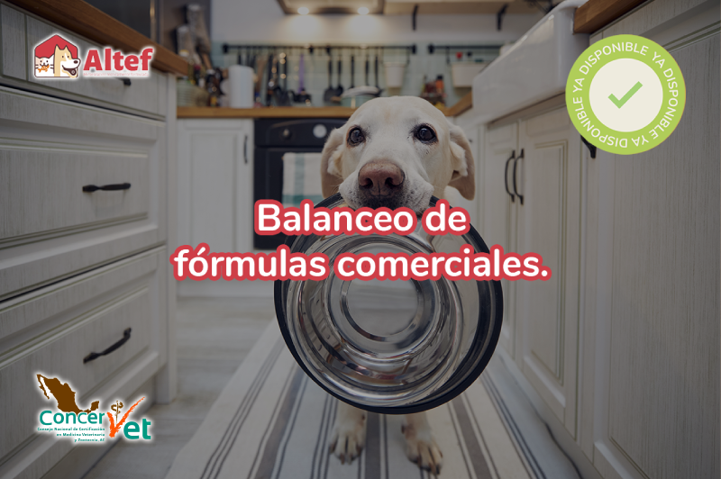 Balanceo-de-fórmulas-comerciales-ALTEF